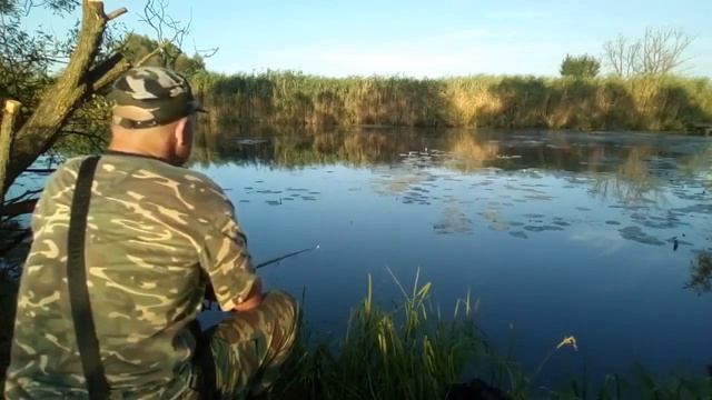 Рыбалка на поплавок, карась, ловля летом.