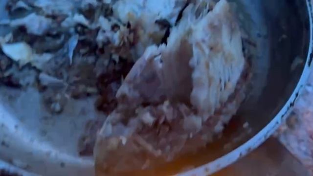 Рыбалка на Кубани. Наловили Раков и рыбы смотреть онлайн