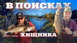 В ПОИСКАХ ХИЩНИКА. Спиннинг с берега. ПУХова рыбалка 6