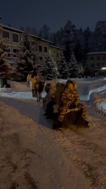 Катание на оленьей упряжке смотреть онлайн