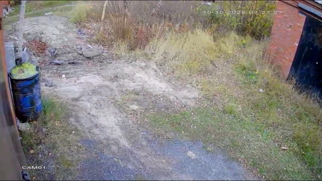 Гражданин с топором