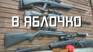 МР 512 Хатсан Страйкер Эйдж Ретай 70С и Кросман Бенжамин Трейл В ЯБЛОЧКО