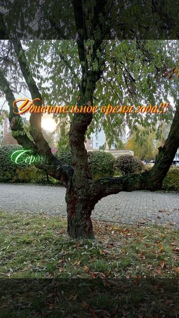 Останови мгновение!
