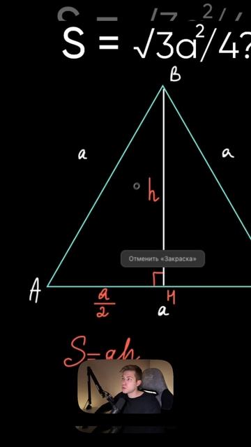 Как найти площадь равностороннего треугольника? 📏 #математика #егэ смотреть онлайн