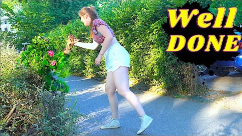 funny videos 2023 Top funniest reactions of bushman prank смотреть онлайн