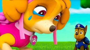 ЩЕНЯЧИЙ ПАТРУЛЬ - ЩЕНКИ СПАСАТЕЛИ МУЛЬТИК ДЛЯ ДЕТЕЙ 2