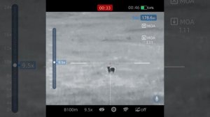 Охота на лисицу и шакала