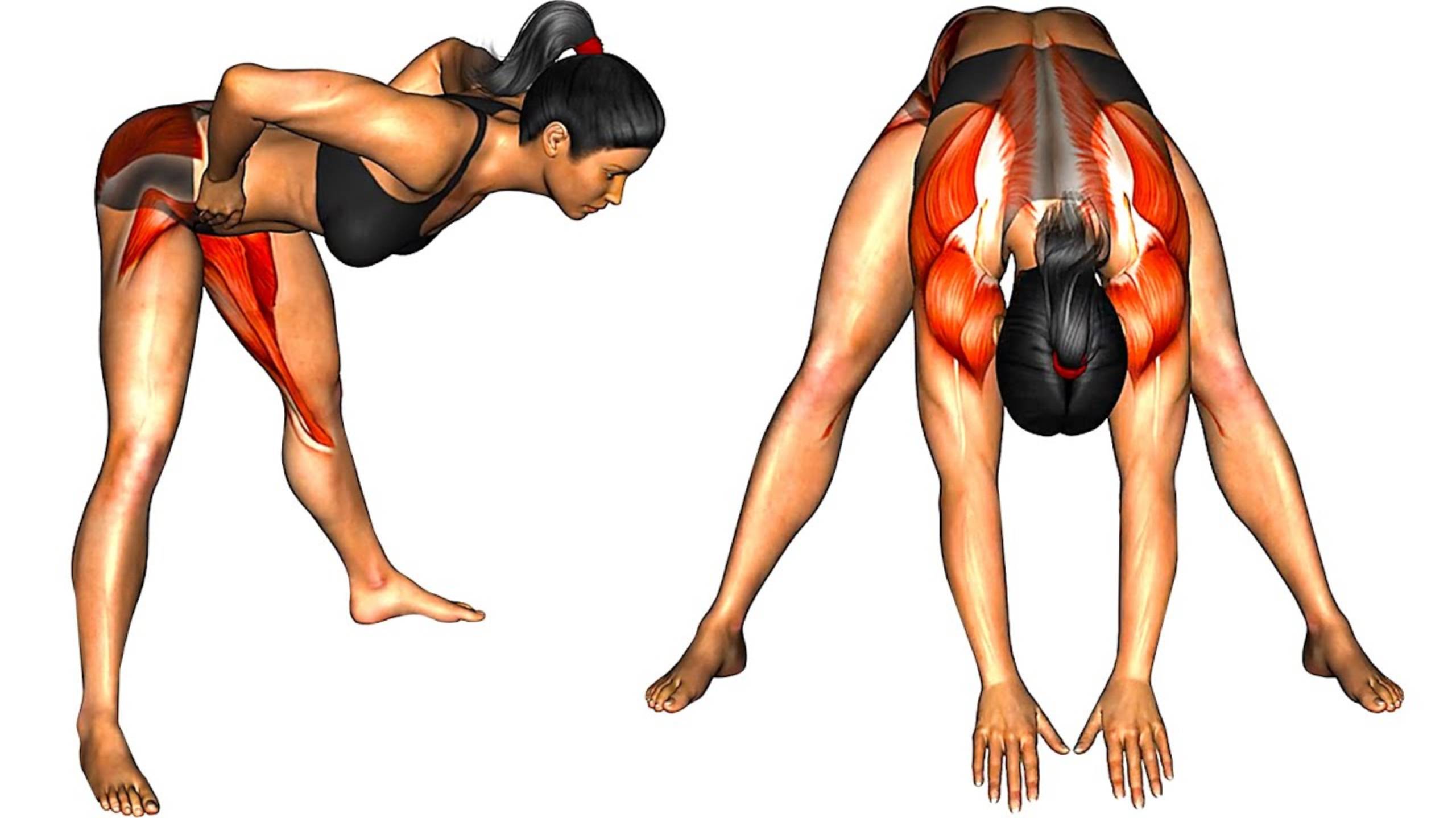 Утренняя разминка для Женщин смотреть онлайн