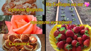 12-10-2025 Переезд из Сибири на юг 💖/Наслаждаемся южной жизнью ☀️/Купили форель/Интернет/Сырники/