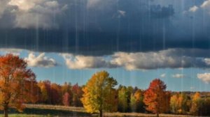 Осень мне наговорила