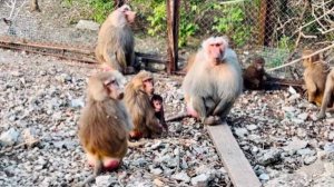 Анфиса пришла к родственникам и увидела СВОИХ СВЕРСТНИКОВ!