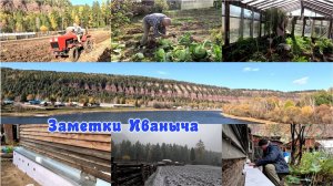 Первый снег и подготовка дома и огорода к зиме.