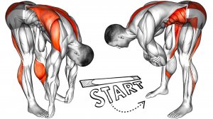 Выполняйте эту разминку и растяжку каждое утро