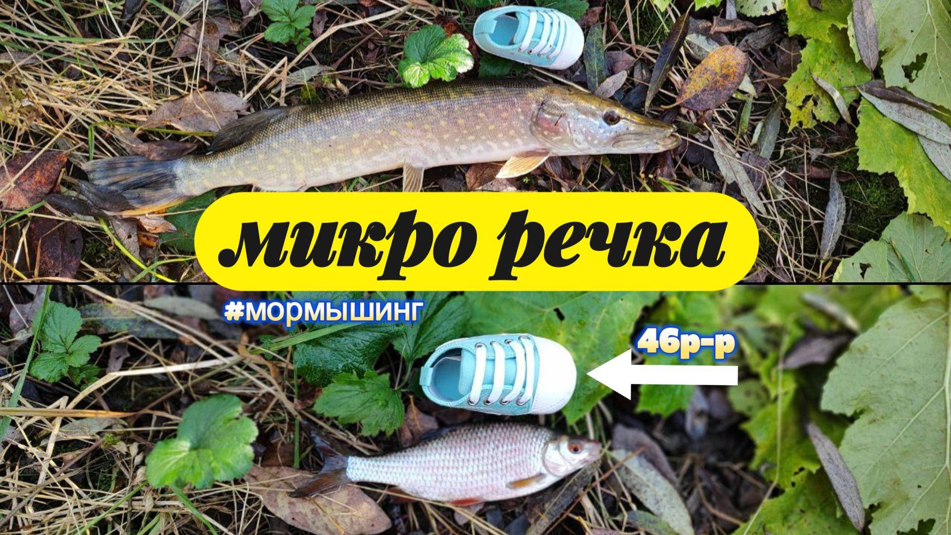 #мормышинг | Осенняя микро речка раздаёт бель | смотреть онлайн