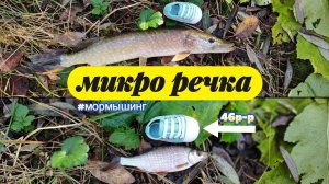 #мормышинг | Осенняя микро речка раздаёт бель |