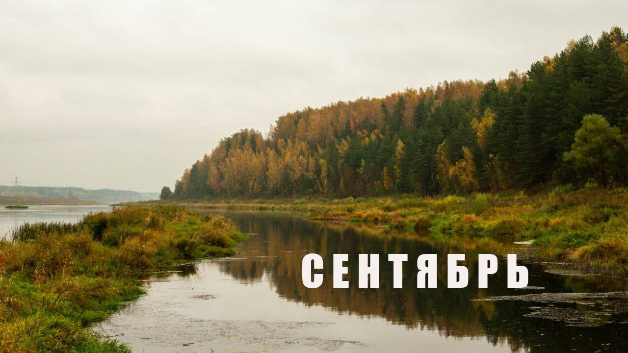 СМУТНОЕ ВРЕМЯ #34 смотреть онлайн