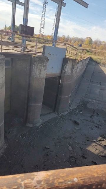 1000088717.mp4 смотреть онлайн