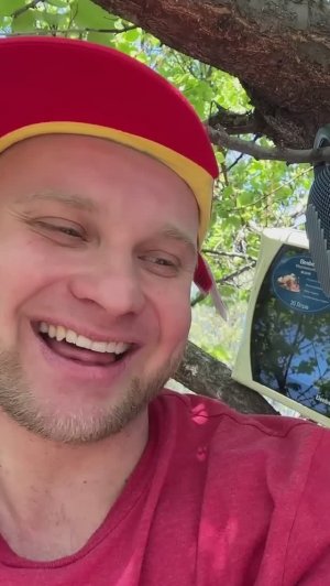 🔥😂 ДОМИК НА ДЕРЕВЕ (смешное видео, поржать, приколы, юмор, прикол)