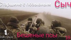 песня Бешеные псы Сыч от Baba Yaga