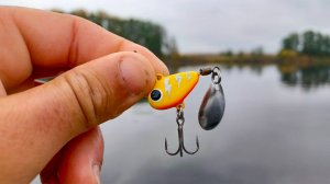 ТАК ВОТ ЧТО НУЖНО БЫЛО щуке ПОЗДНЕЙ ОСЕНЬЮ.. Рыбалка на тейл, спиннинг в 2025