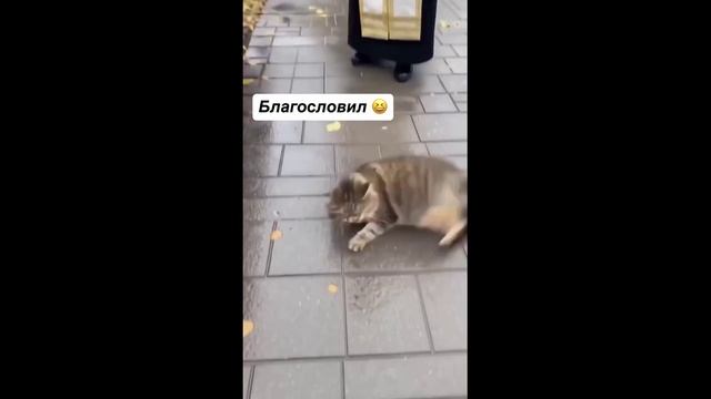 Бугагашка.Ру Выпуск №5