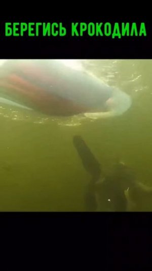 А как бы вы отреагировали?😅 Подписываемся 😉