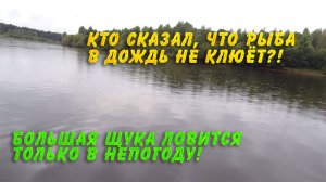 Кто сказал, что рыба в дождь не клюет? Большая щука ловится только в непогоду!
