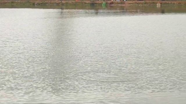 WhatsApp Video 2025-10-12 at 09.56.35 смотреть онлайн