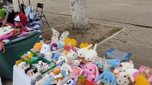 день Республики Адыгея. ярмарка -ожидание и итоги