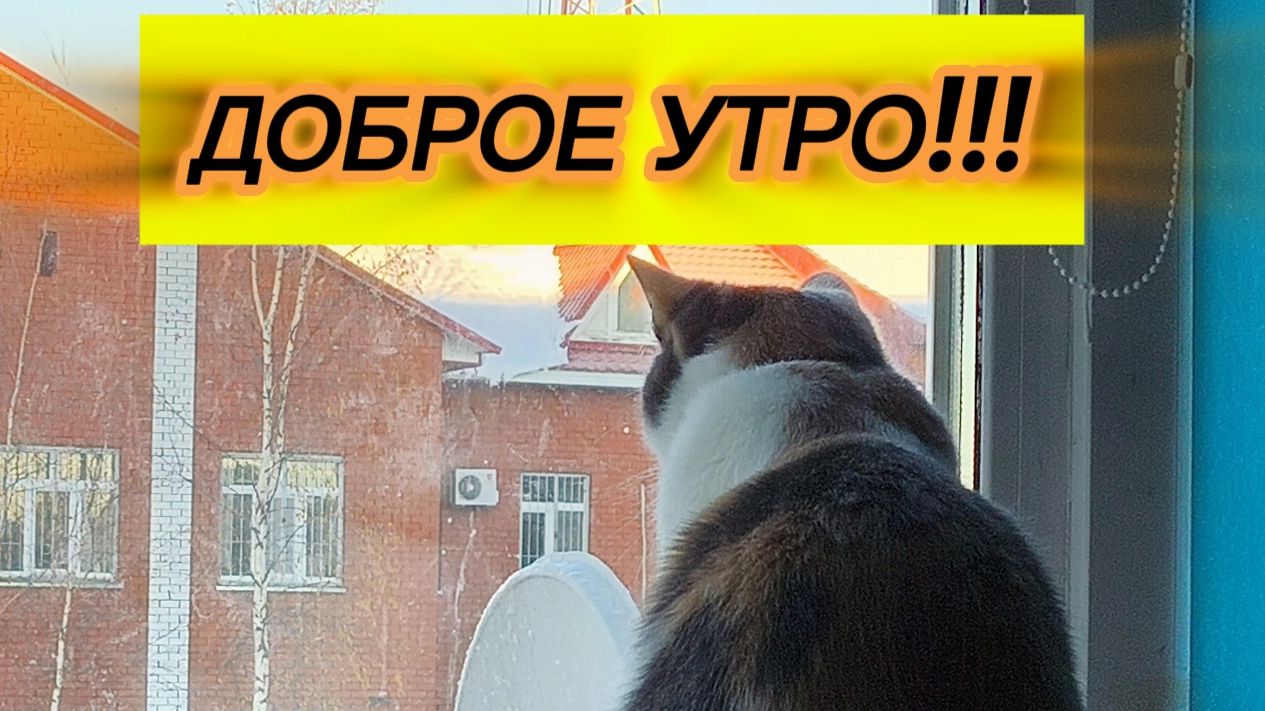 Доброе утро!!! Мои хорошие 😘 смотреть онлайн