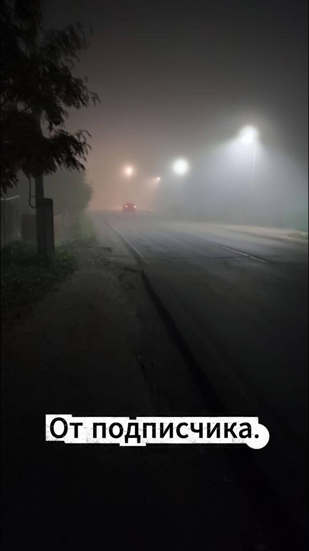 Золотая осень. От подписчика. смотреть онлайн