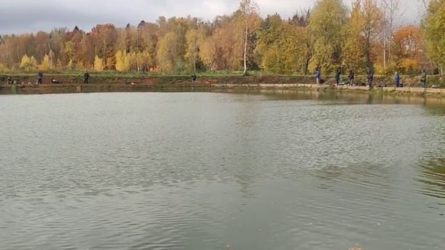 WhatsApp Video 2025-10-12 at 09.53.06 смотреть онлайн