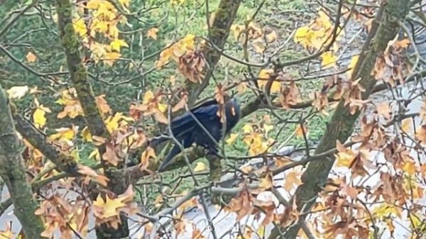 Утренний туалет 😀😀😀