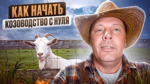 Как начать козоводство с нуля. Секреты, которых вам никто не расскажет! 🐐🔍 #МоеПодворье