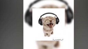 CAT-МЯУ МЯУ МЯУ-OST