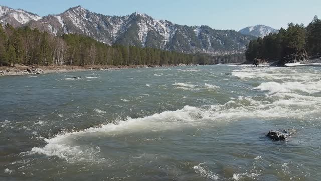 На реке Катунь (Горный Алтай) весной, в апреле. смотреть онлайн