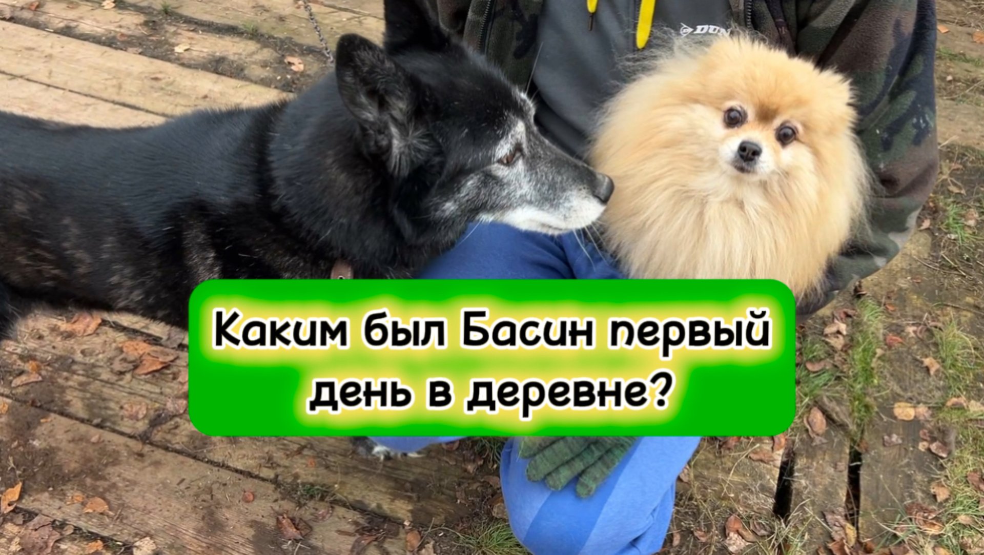 Каким был Басин первый день в деревне? смотреть онлайн