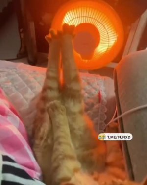 Доброе утро!😅