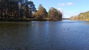 Все бросили и уехали отдохнуть