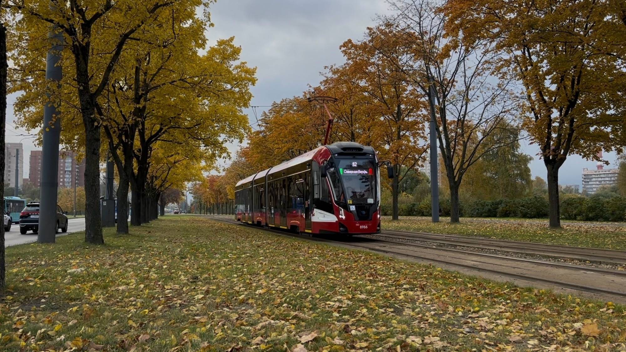 «Встреча золотой осенью!» Трамваи «Витязь-М» (71-931М) №8986 и 8985, октябрь 2025 года смотреть онлайн