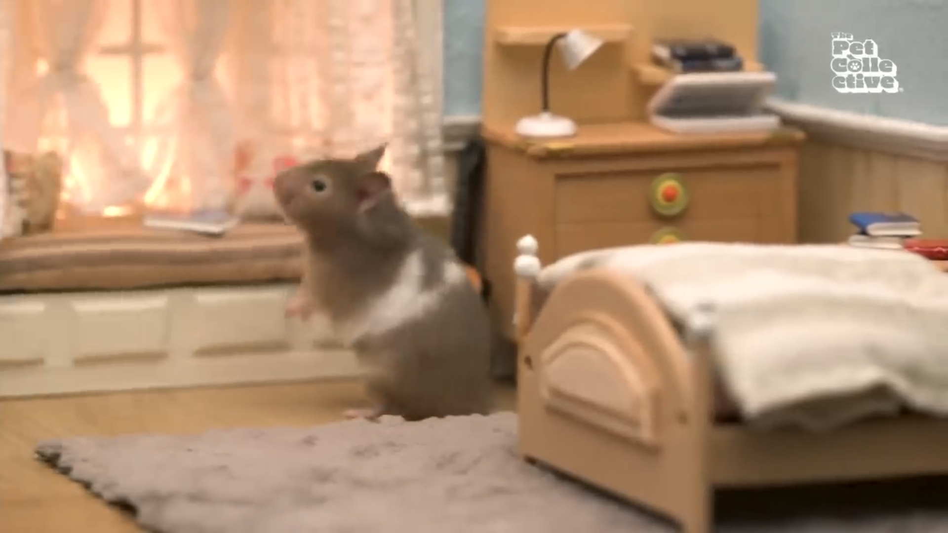 Хомячок встречает рождество смотреть онлайн