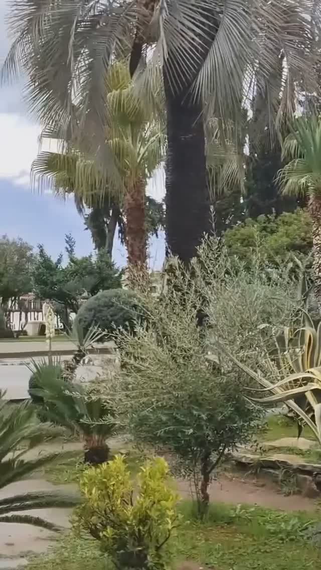 Вкратце о погоде в Абхазии сегодня (12 октября, ОСЕНЬ-2025) смотреть онлайн