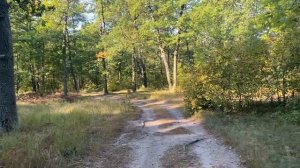 🍁Хроники леса🍂 Немного вязания🍄 Сентябрь 2025