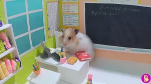 ШКОЛА ХОМЯЧКОВ/ ХОМЯЧКИ ДЕЖУРЯТ ПО КЛАССУ
