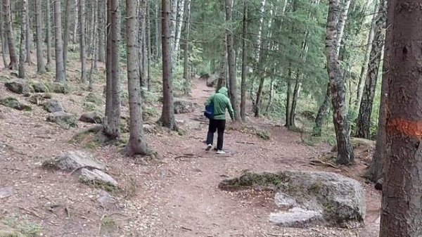 Green Knight walking