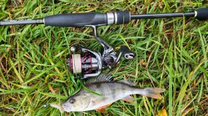 Десна. Между мостов, 10 октября 2025 года