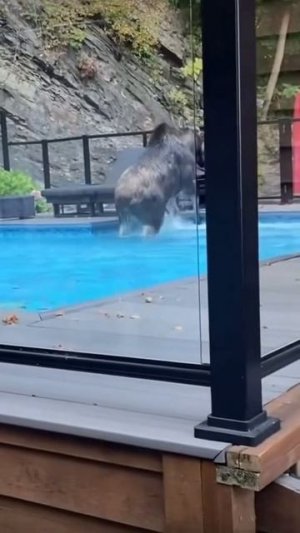 Понаставили тут заборов ёпрст, чуть не разбился