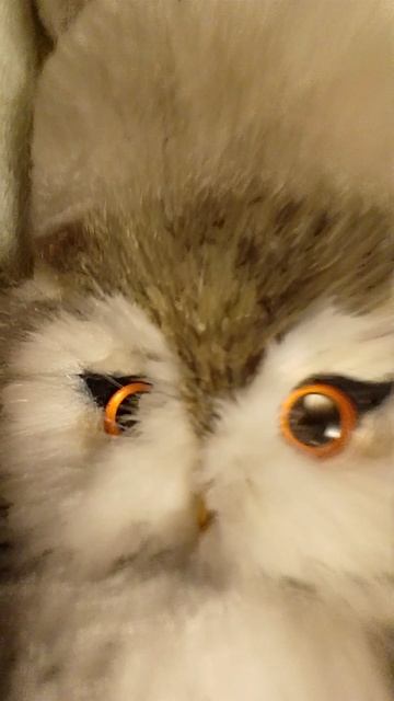 Серия 5 сезон 1 Мультри (попали в тëмный лес!)