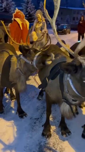 Катание на оленьей упряжке смотреть онлайн