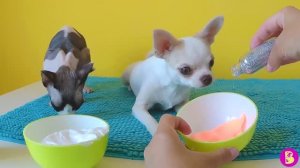 СЛАЙМ ЧЕЛЛЕНДЖ ТОЛЬКО НЕ ВЫБИРАЙ КОФЕ делаем слайм из случайных компонентов